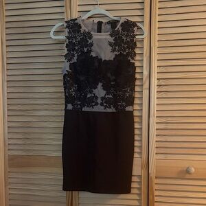 Elegant Black and Cream Lace Dress